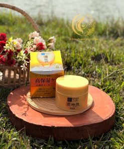 Hada Labo Premium Cream